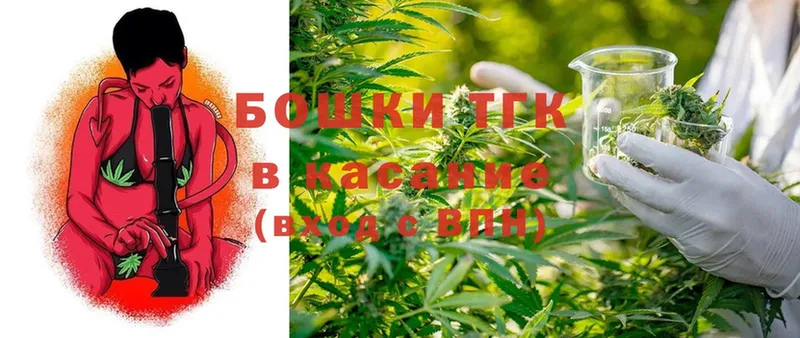 купить наркотик  мега ссылки  Конопля Ganja  Питкяранта 